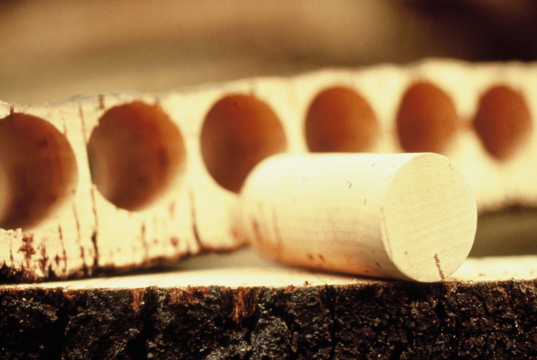 Innenrinde mit Weinkorken