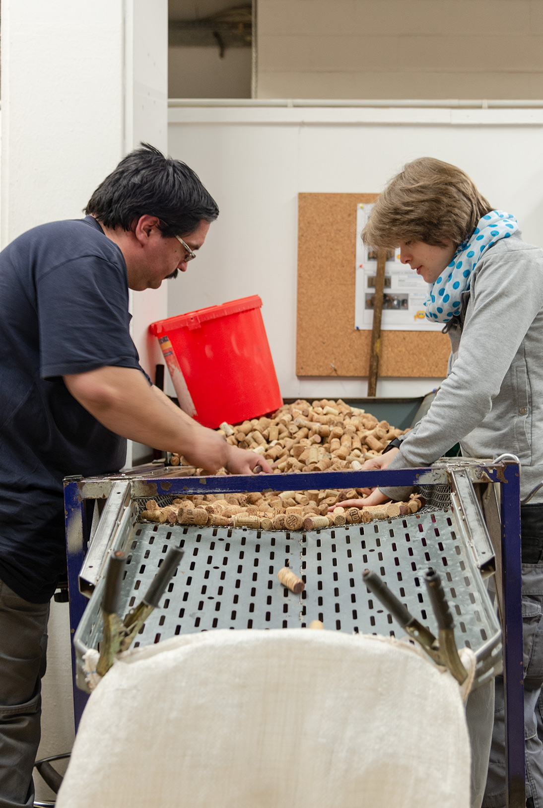 Manuelles Sortieren und Reinigen von Fremdstoffen